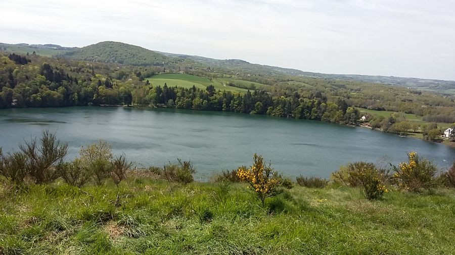tazenat_5